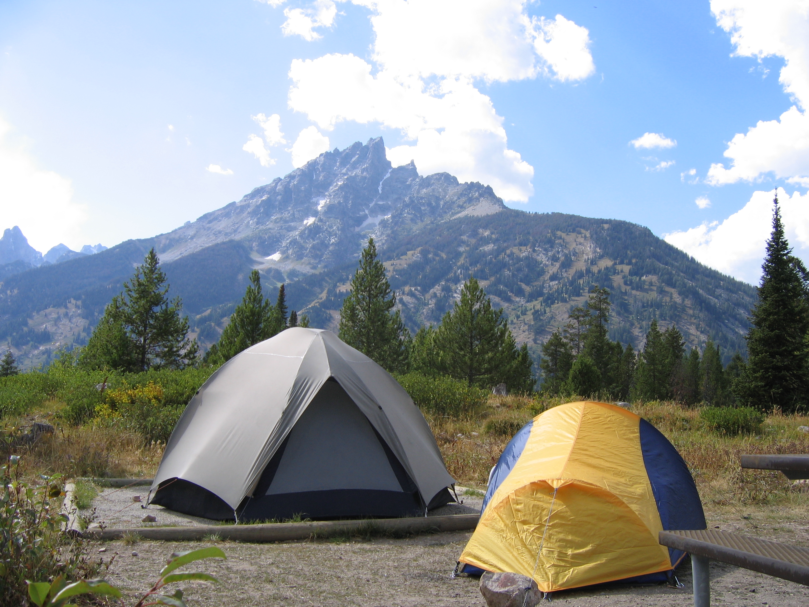 Two tents - one gray and one yellow - with Mount Teewinot in the background