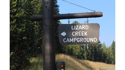 Lizard Creek campground sign with conifers and blue sky.