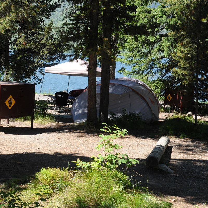 Lizard Creek Campground Grand Teton National Park U S National Park Service