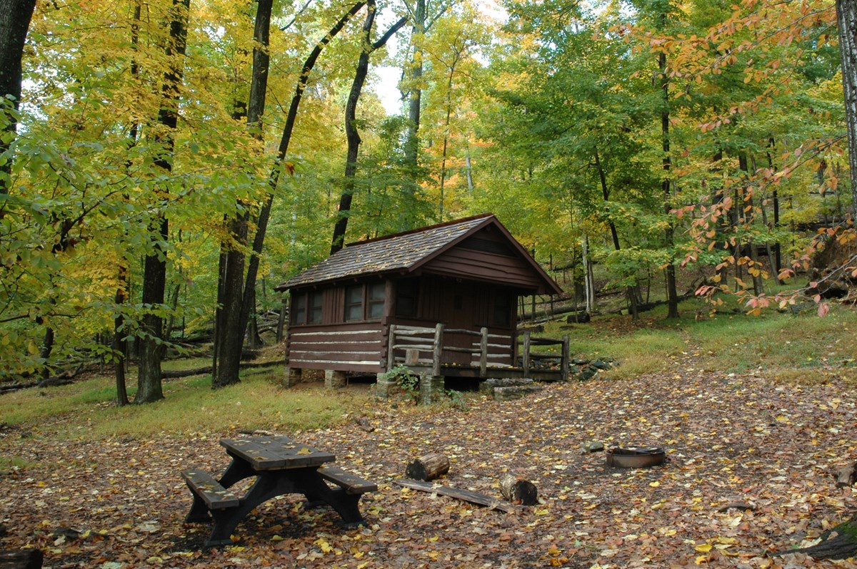 A log cabin in the woods