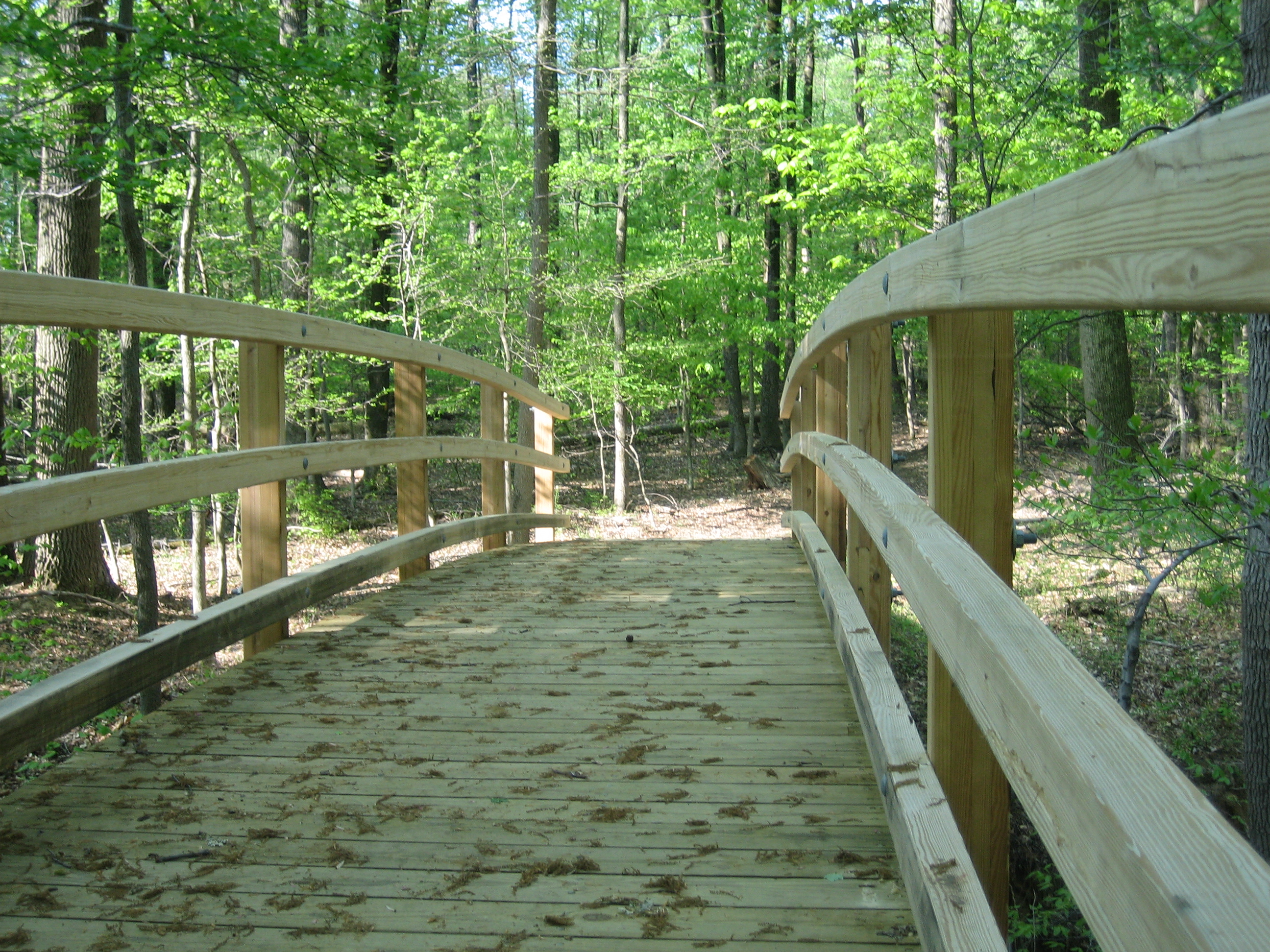 bridge in Greenbelt Park