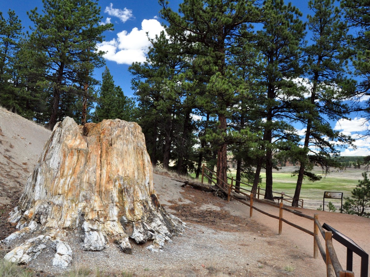 Picture of Florissant Fossil Beds National Monument