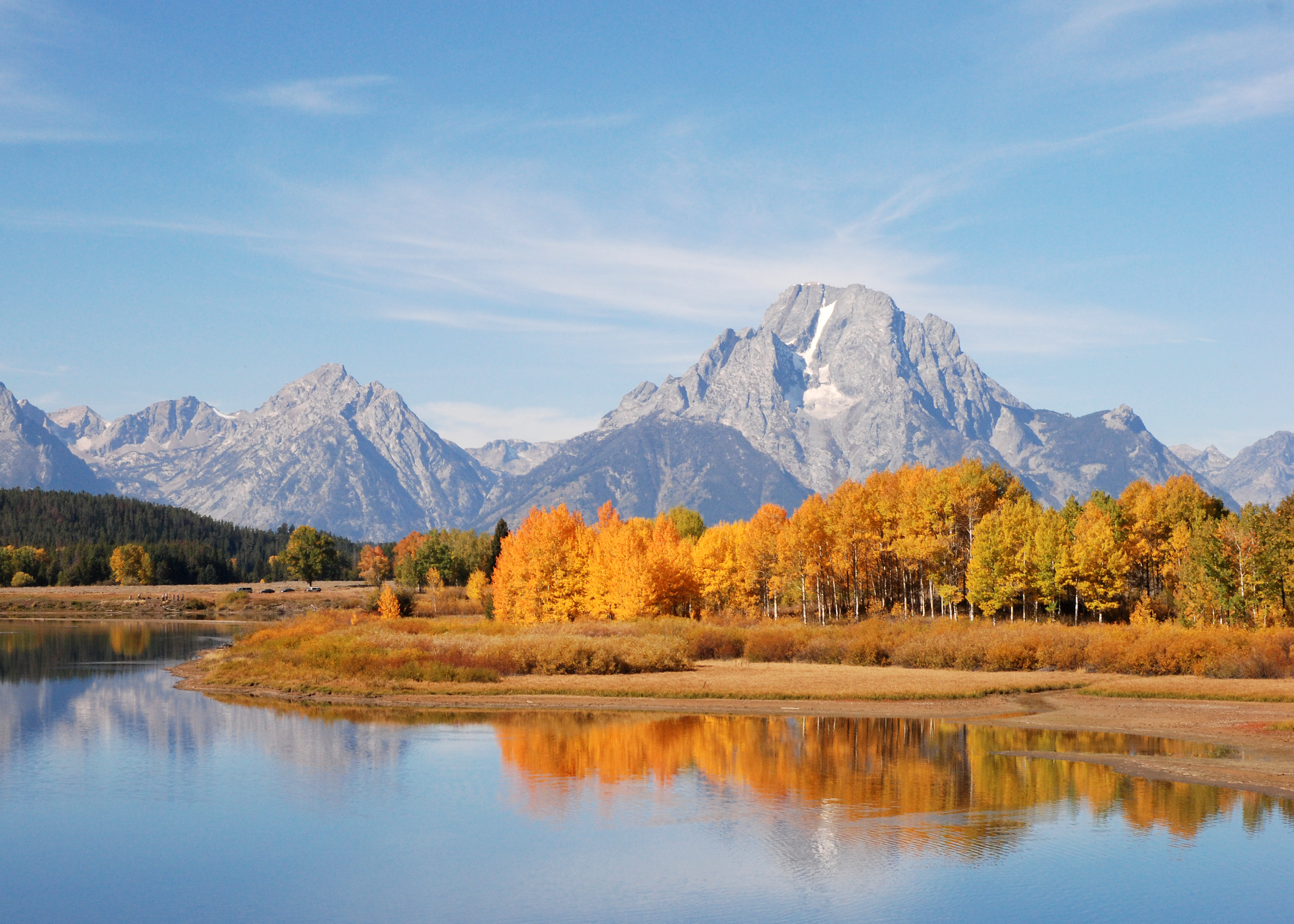 Oxbow Bend on the Snake River during fall with golden aspens and Mount Moran in the background.