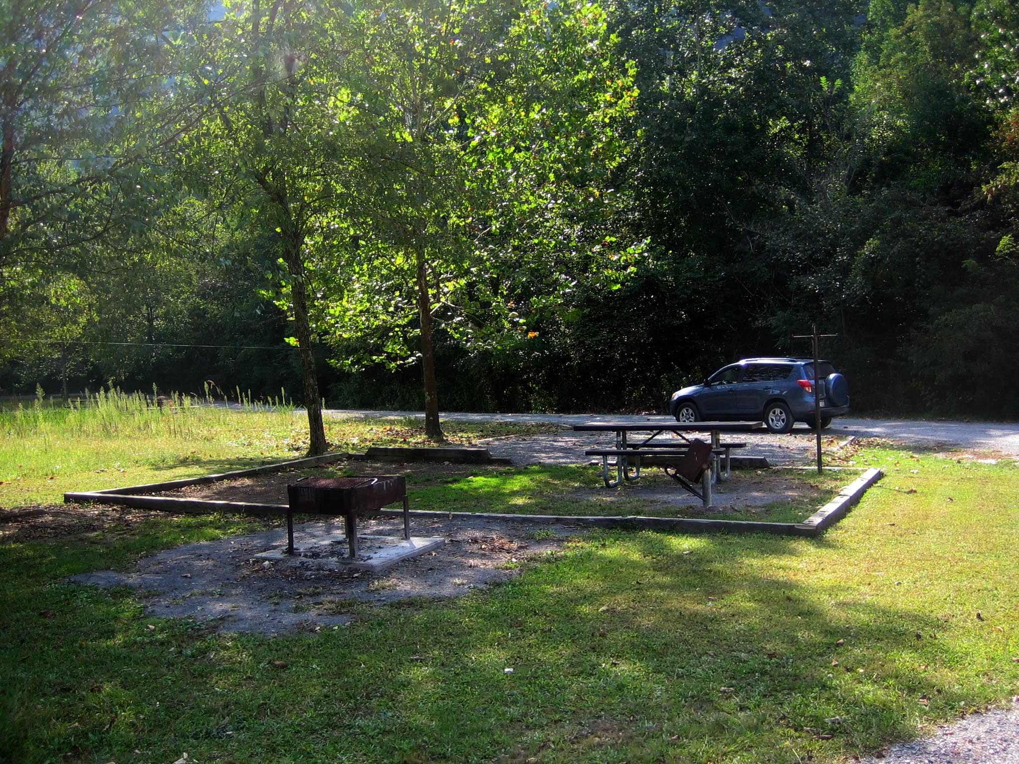 A grassy field campsite with a picnic table and grill partially shaded by a few trees.