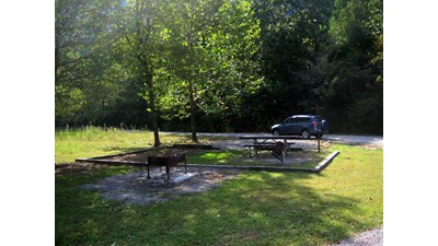 A grassy field campsite with a picnic table and grill partially shaded by a few trees.