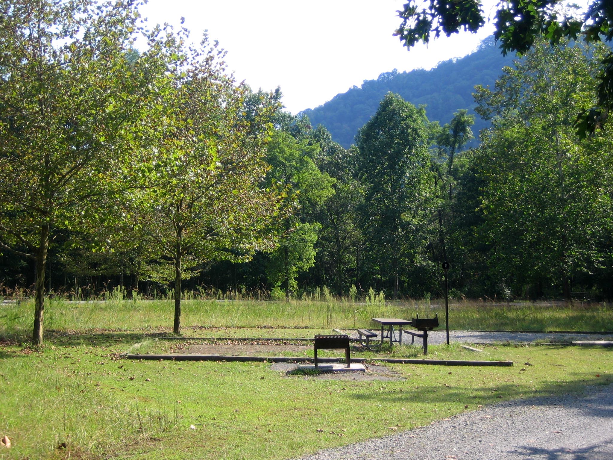 A sunny campsite in a grassy area with a picnic table and grill