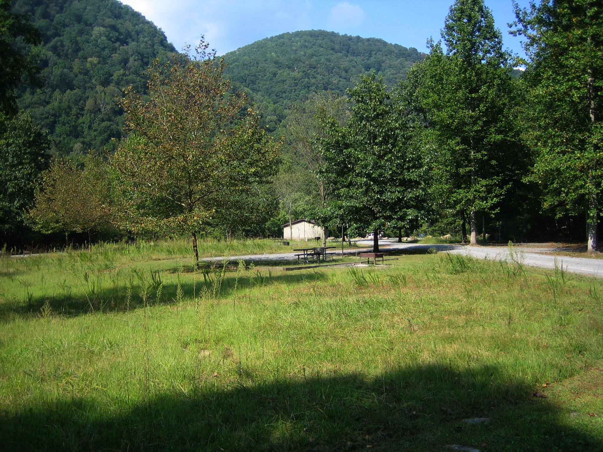 A grassy field with a few trees, campsites, and restroom facility in it