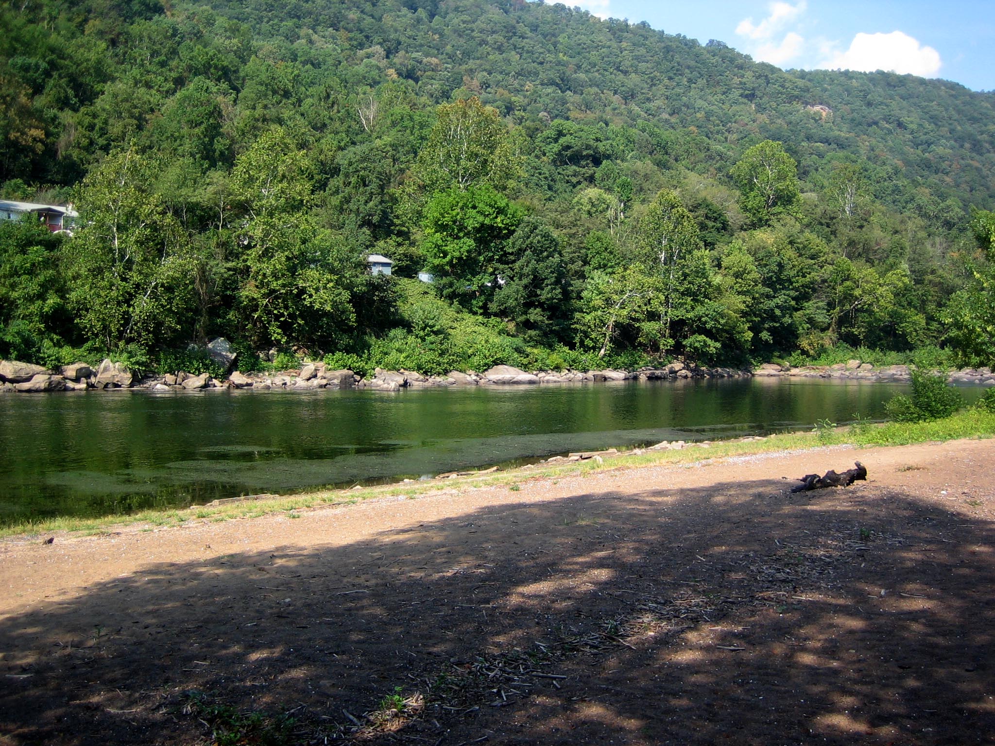 A sandy beach at a clear fast flowing river next to a green tree covered bank