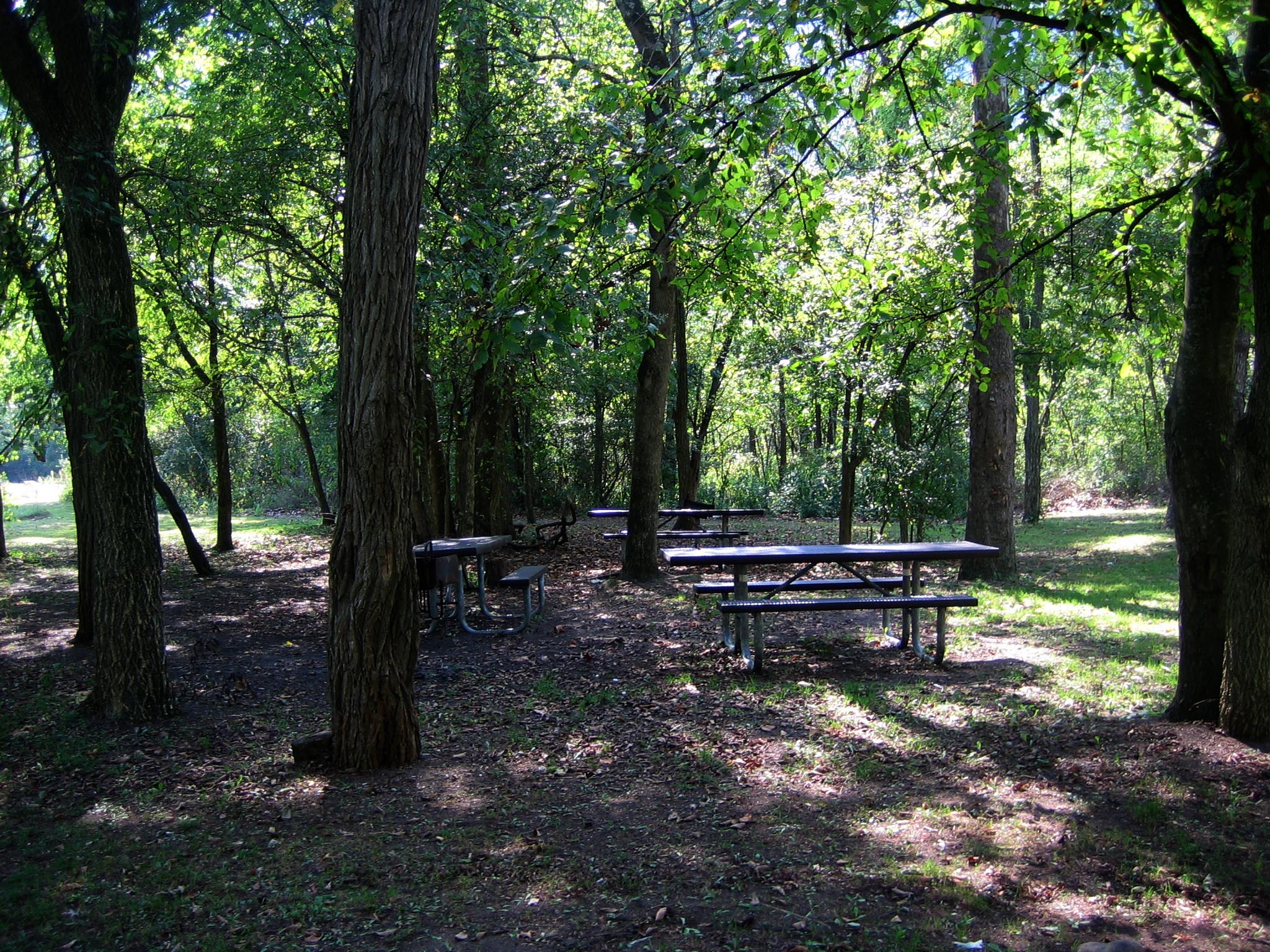 Three picnic tables in a shaded forested area.