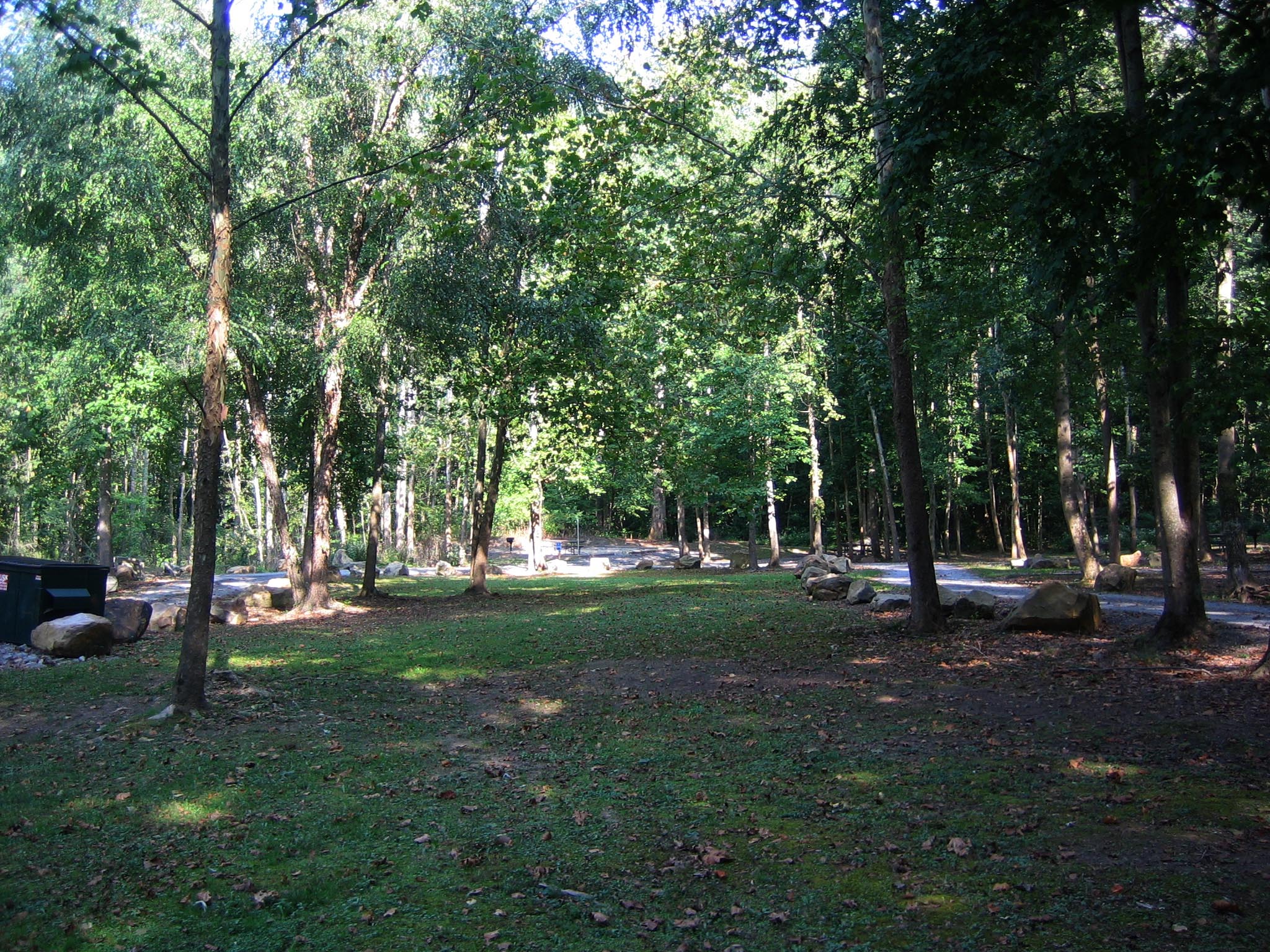A small grassy area covered in trees with a road around it and designated campsites.