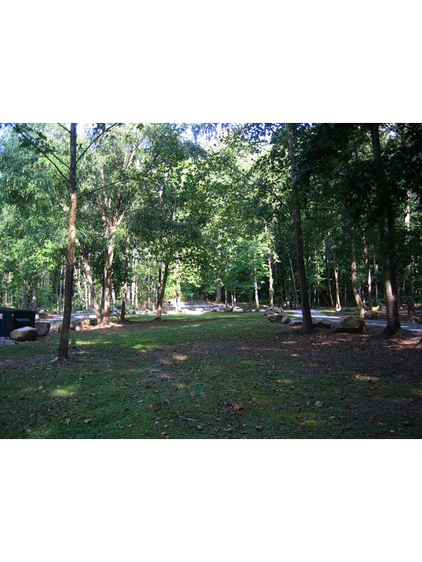 A small grassy area covered in trees with a road around it and designated campsites.