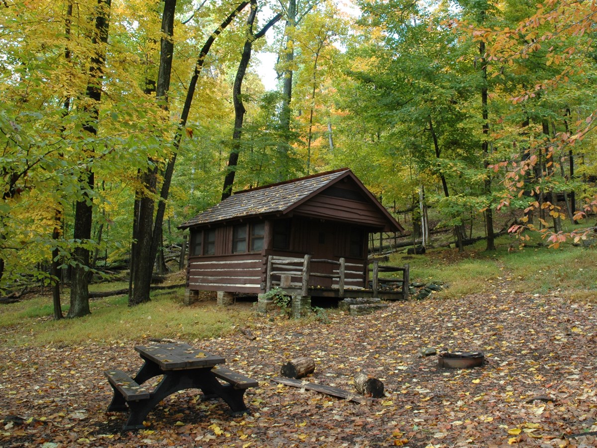 Tiny House for Sale - Tiny Home Log Cabin, image size:1200x900