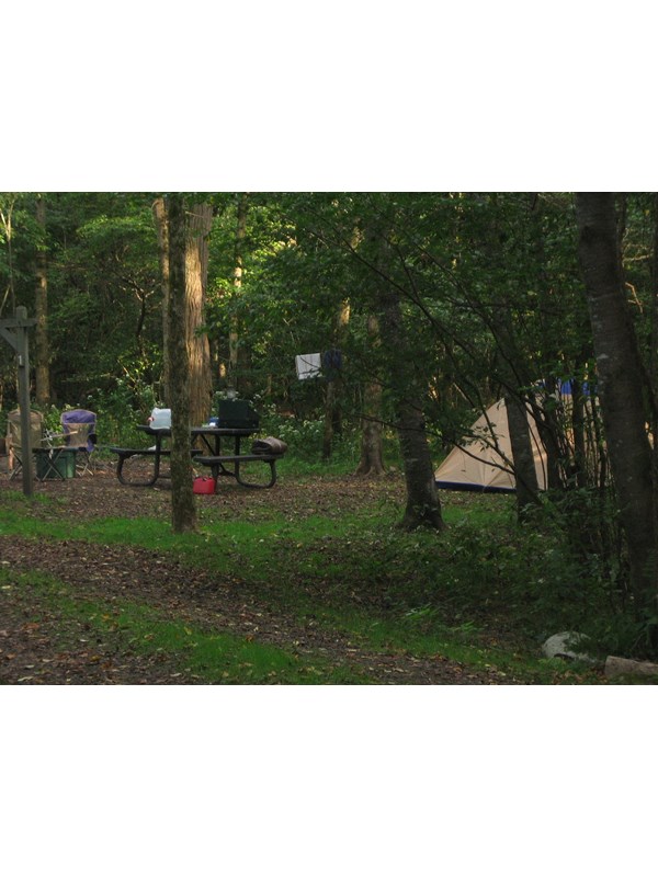 campsite