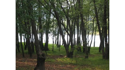 walk in camping area