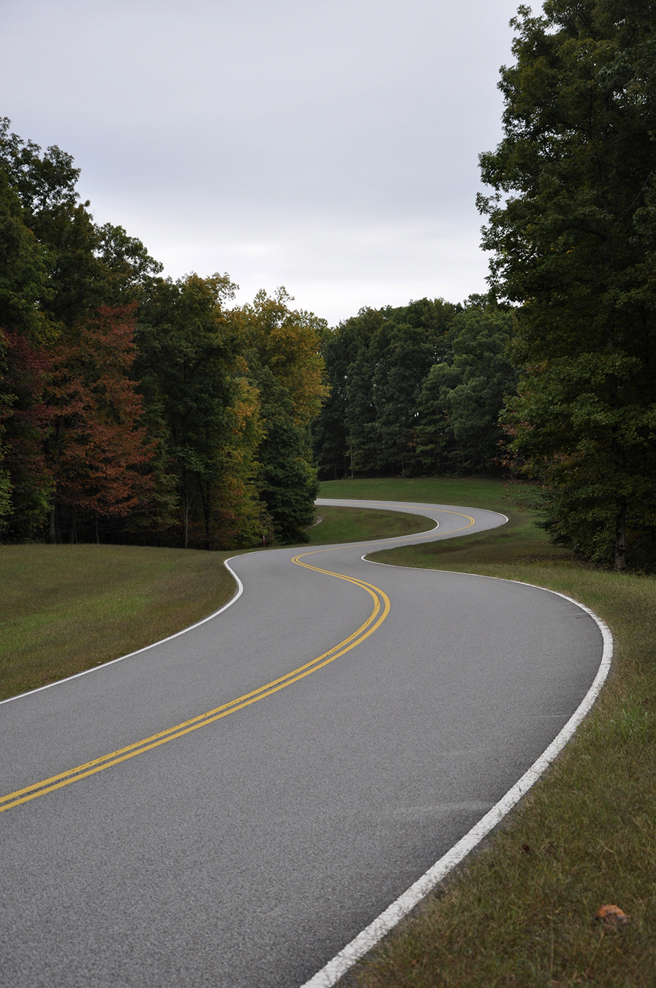 A slightly curvy section of the Natchez Trace Parkway in Early Fall
