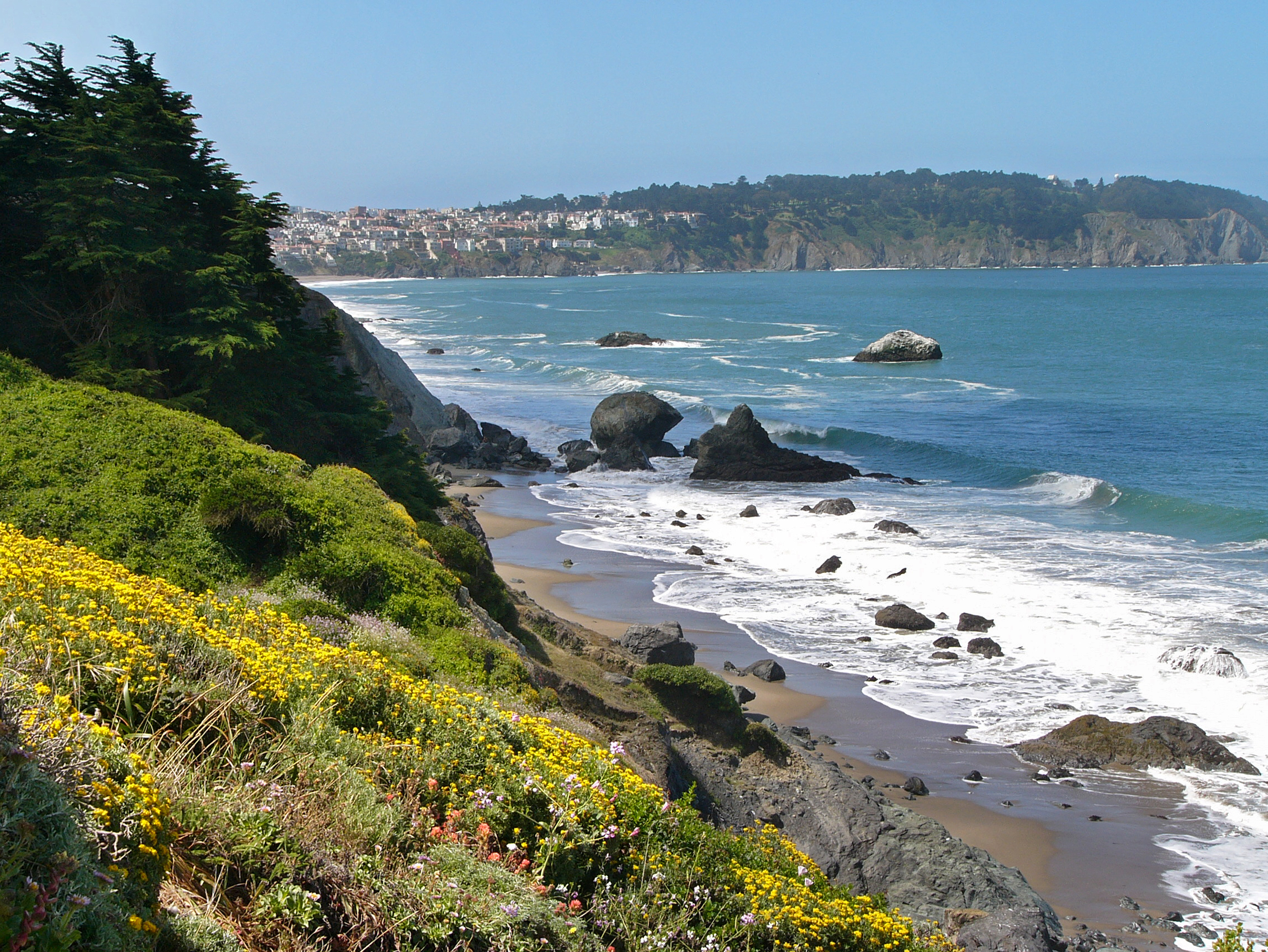 Rocky bluffs above the blue ocean covered with yellow flowers in the foreground and and trees.