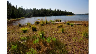 View of West Caribou Island shoreline surrounded by blue water.