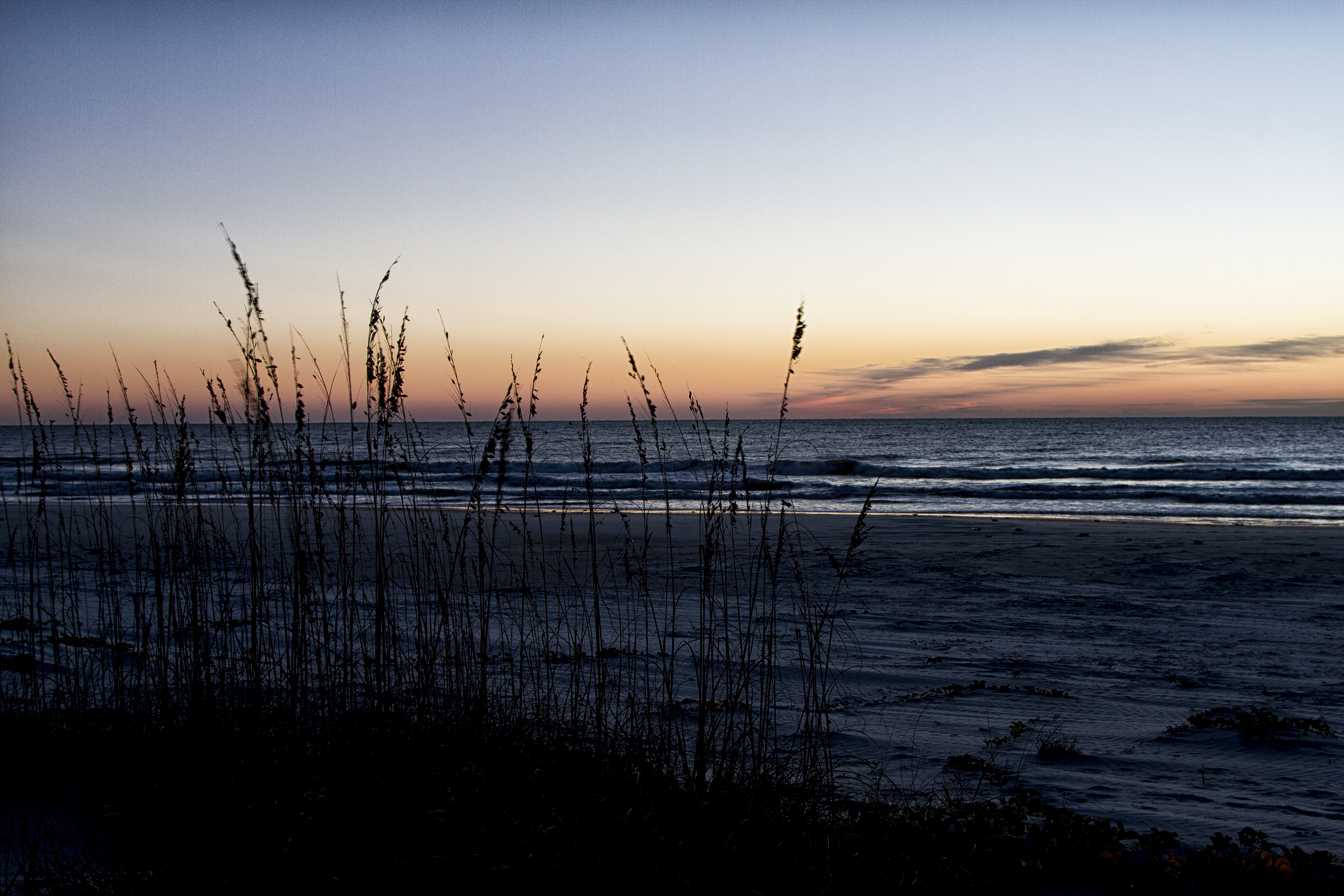 Ocean beach at sunrise
