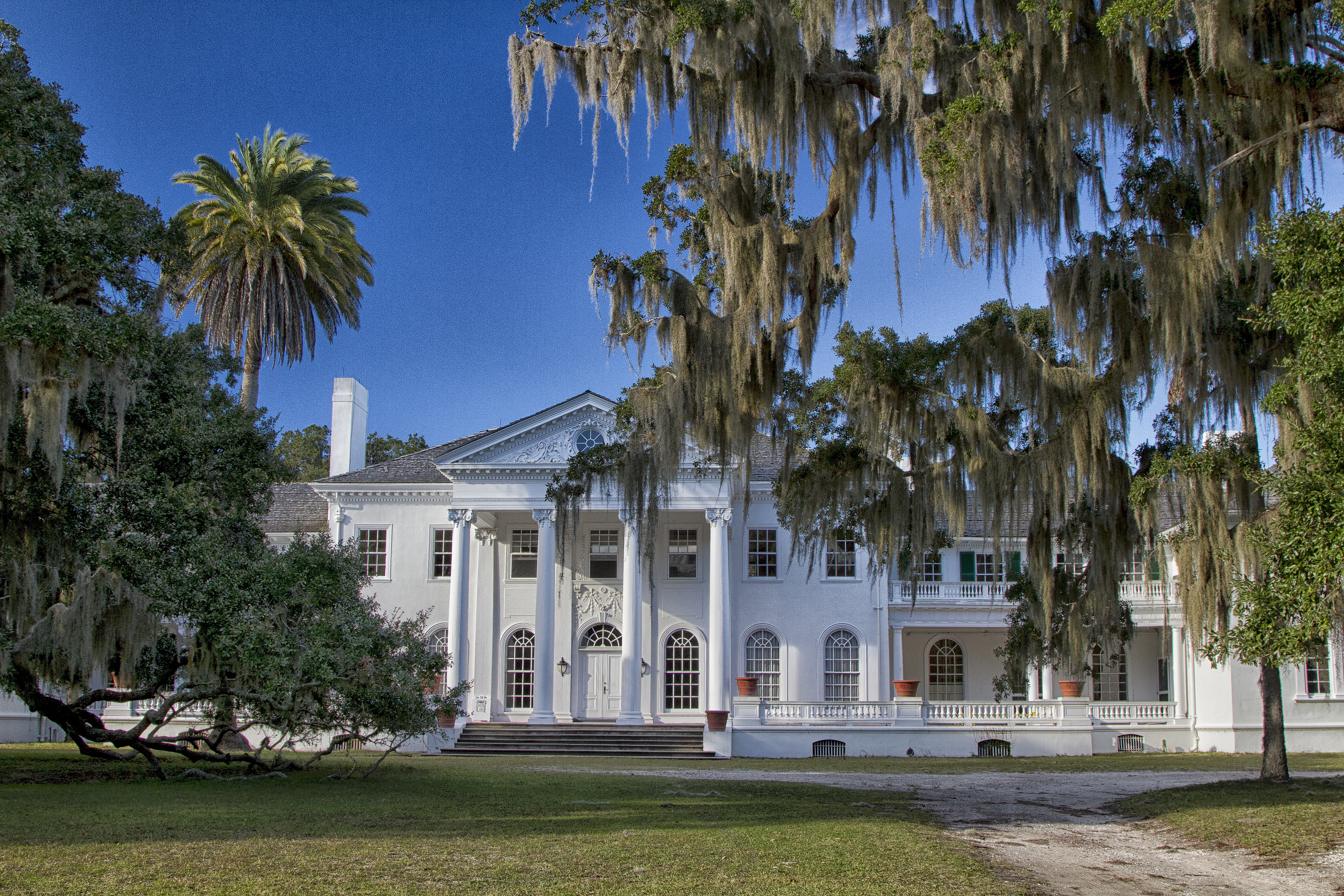large, white mansion behind oak trees draped with Spanish Moss