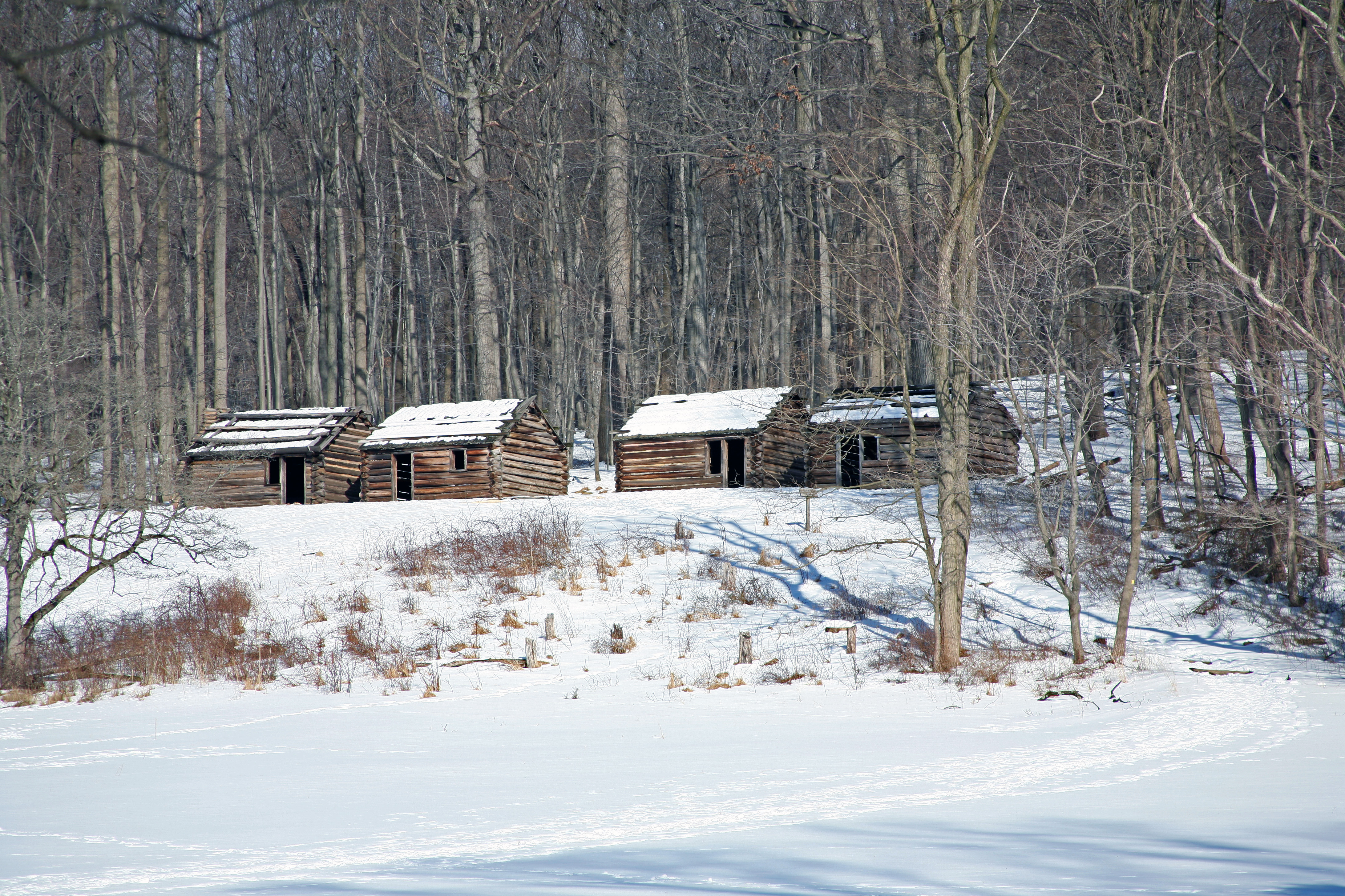 Four replica wooden soldier huts on a hillside in winter