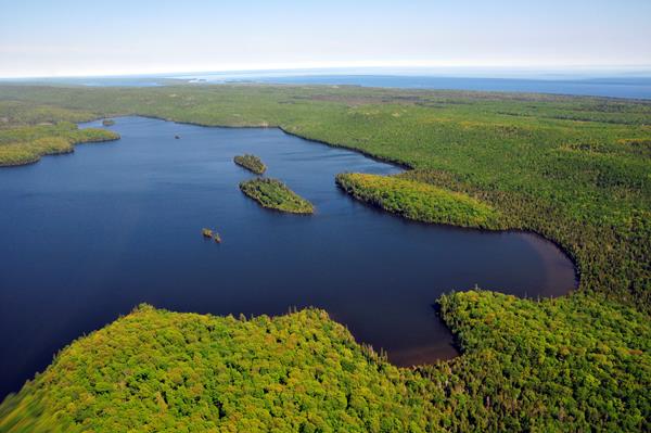 Aerial view of the blue waters of Lake Desor surrounded by a green hardwood forest.