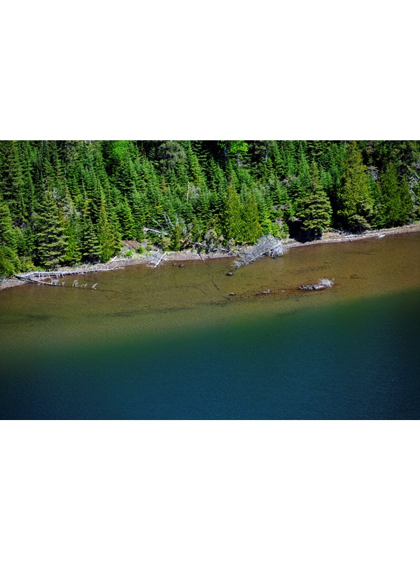 Beautiful blues highlight the waters of Duncan Bay.
