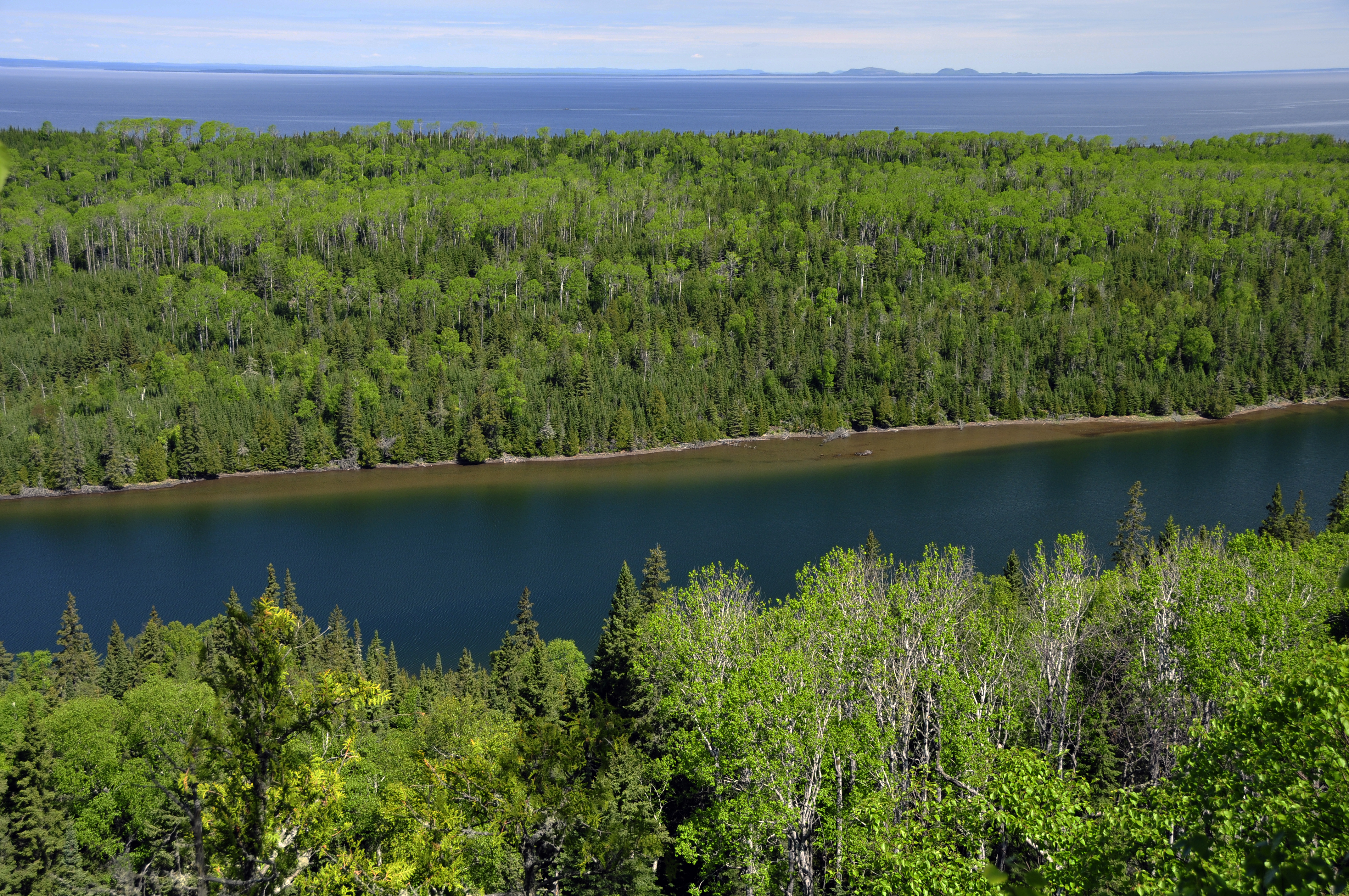 Aerial view of the blue waters of Duncan Bay Narrows and the surrounding green, boreal forest.