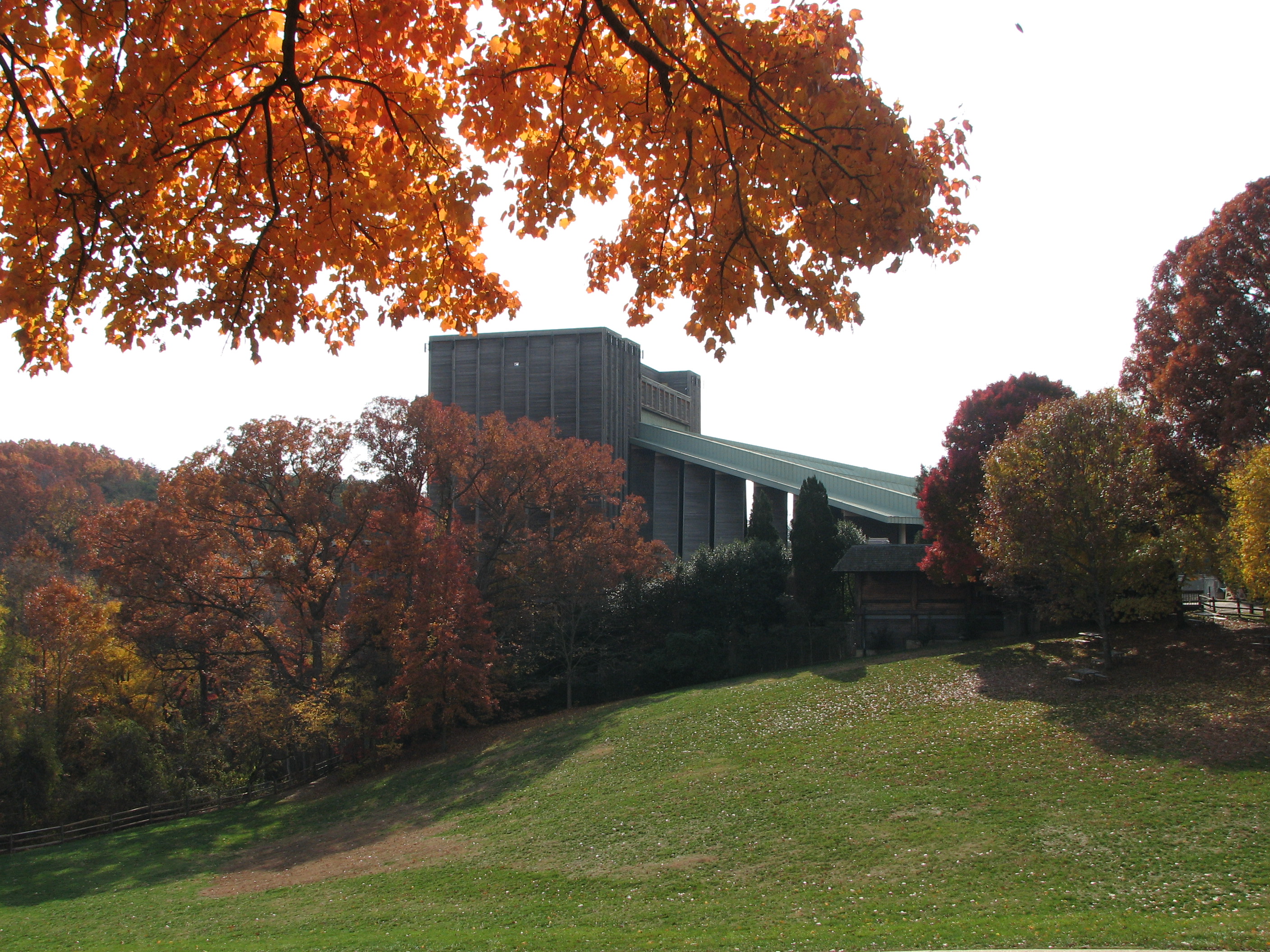 Filene Center in the background with autumn leaves