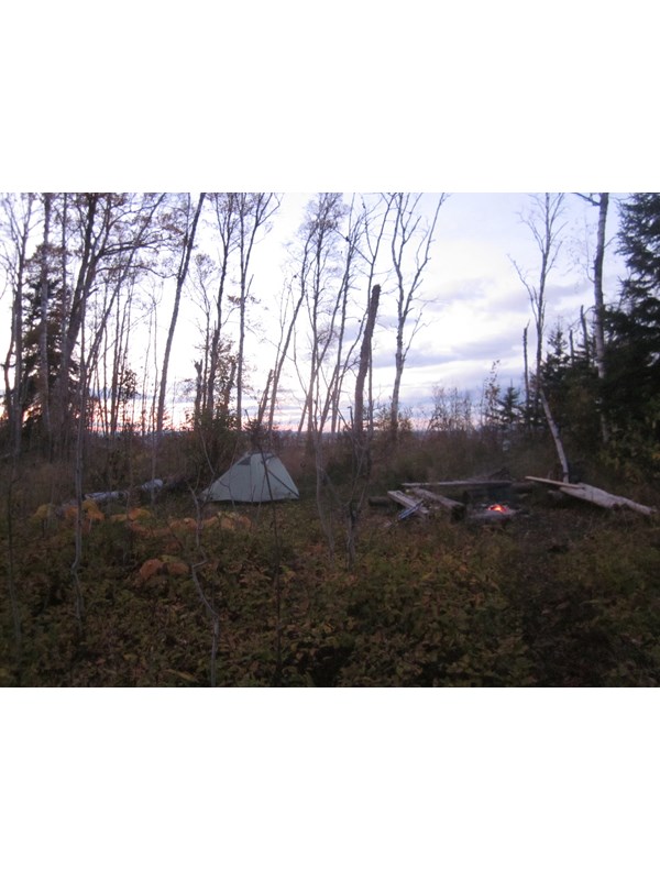 Tent set up at a Little Todd Campground tent site at sunset.