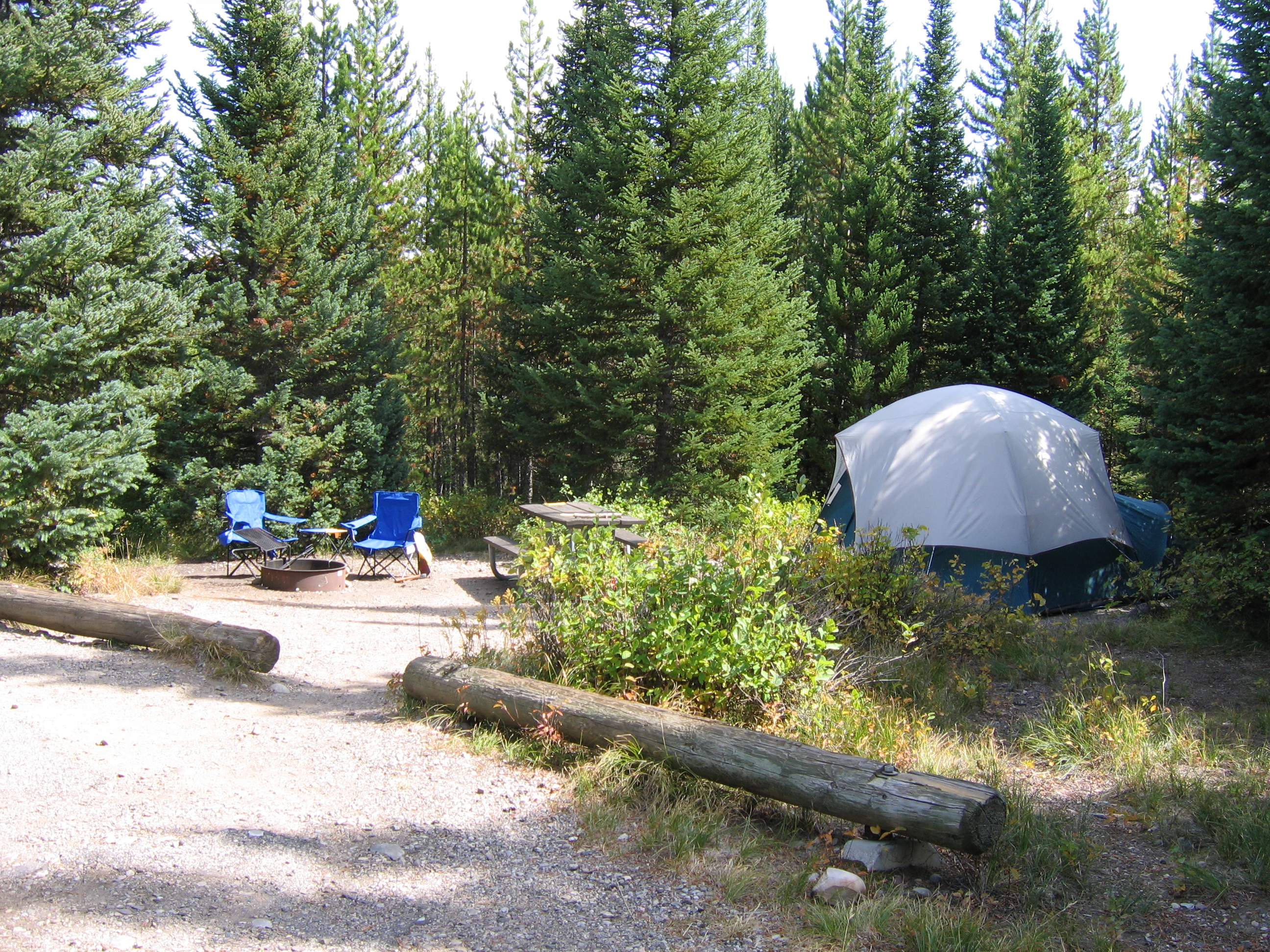 Conifers behind a light gray dome tent and camp chairs