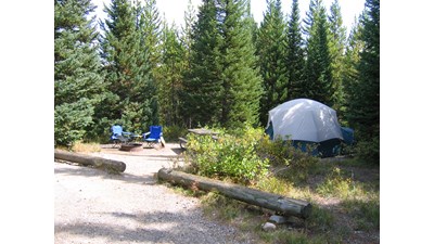 Conifers behind a light gray dome tent and camp chairs