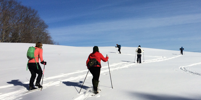 Winter sports at the park