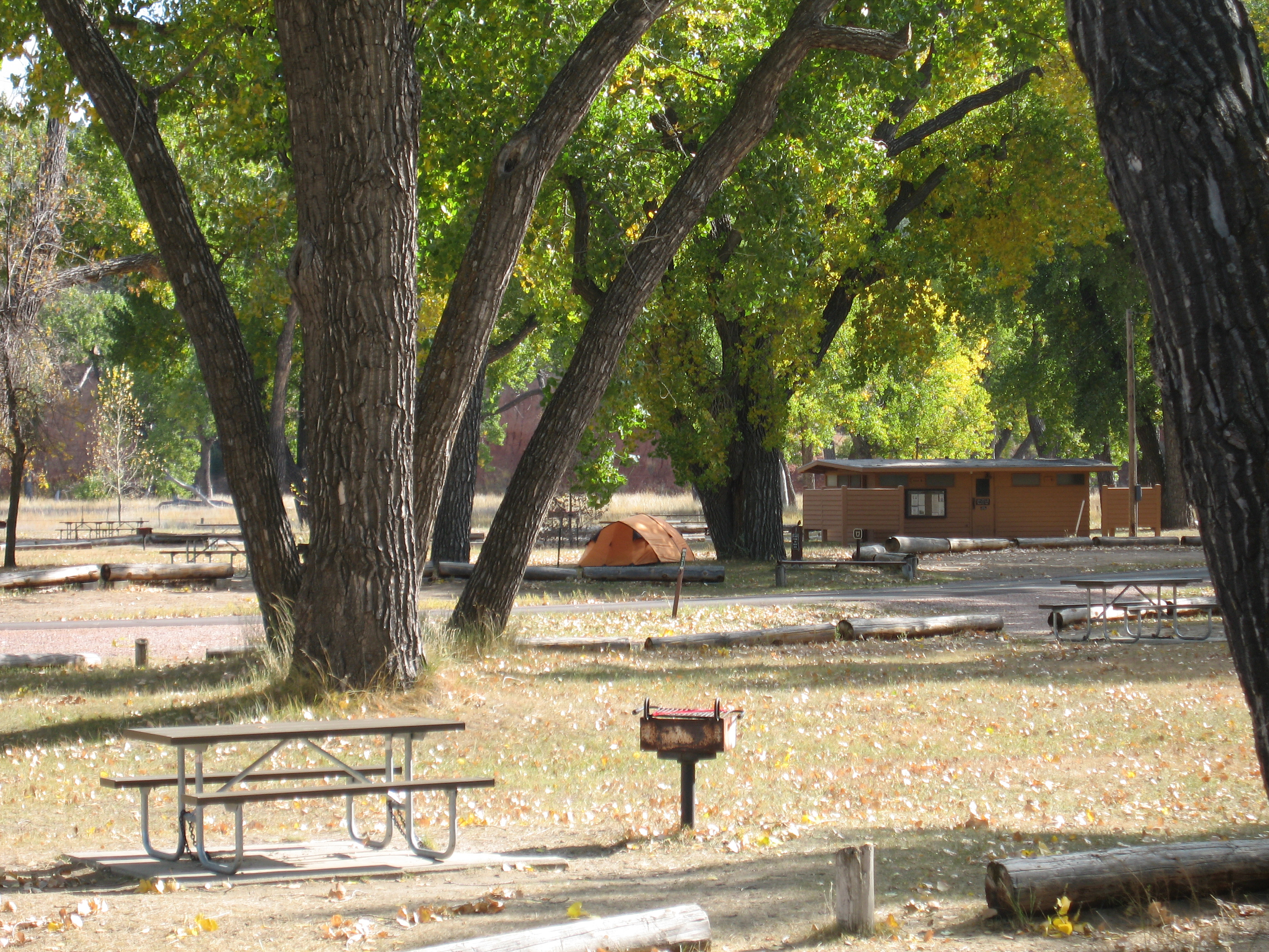 A peaceful, quiet campground with tents, fire grates and picnic benches.