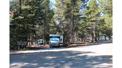 RVs parked in campsites with dark green conifers shading the sites.