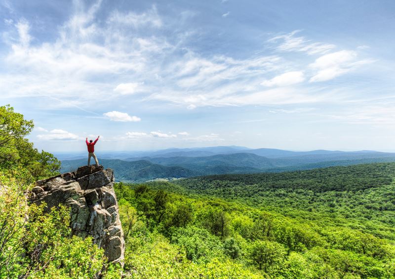 Virginia landscape