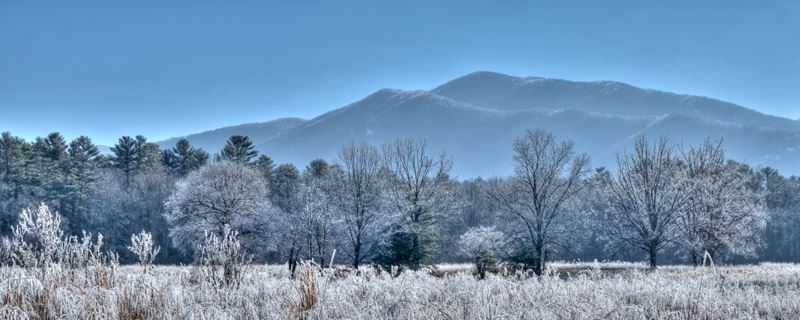 North Carolina landscape