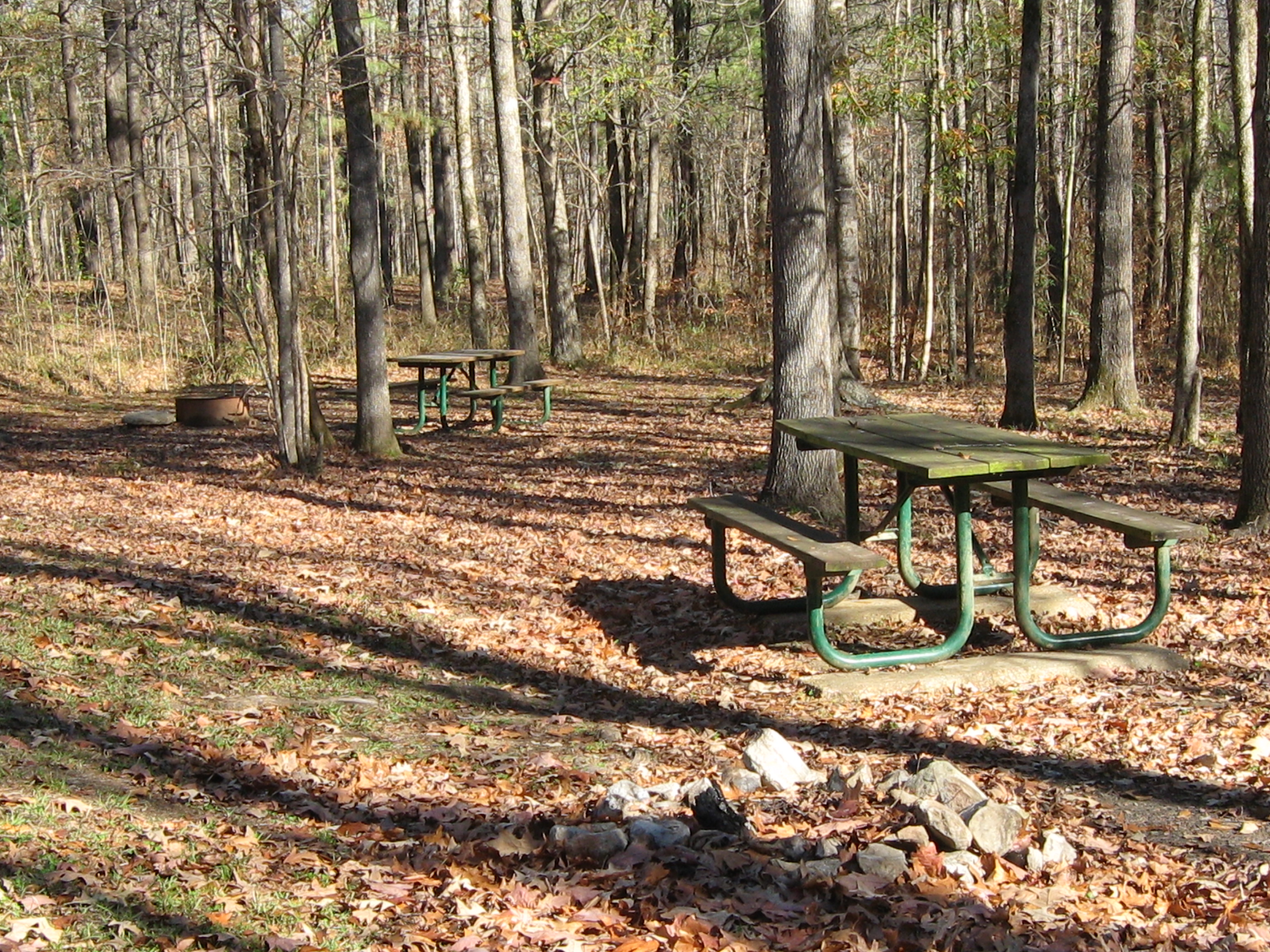 Image of Rocky Springs campground in autumn, including two picnic tables and two fire rings