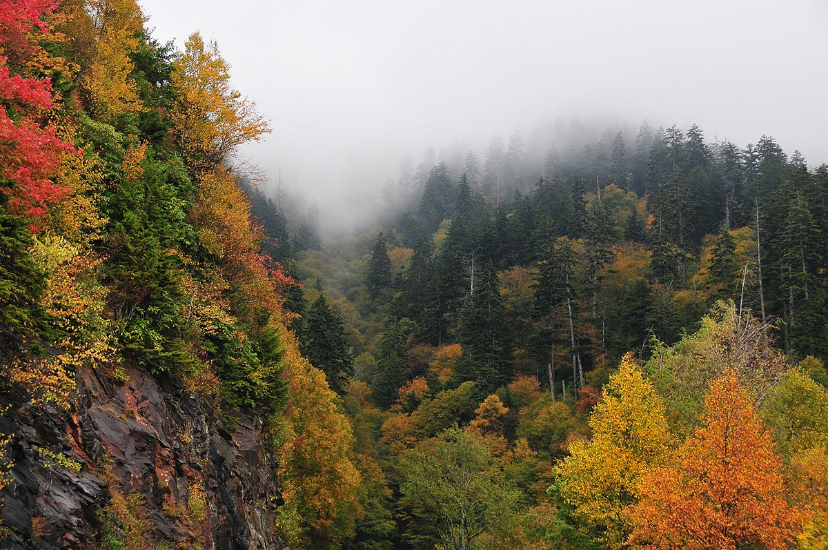 Great Smoky Mountains Crowds by Month: Crowd Calendar