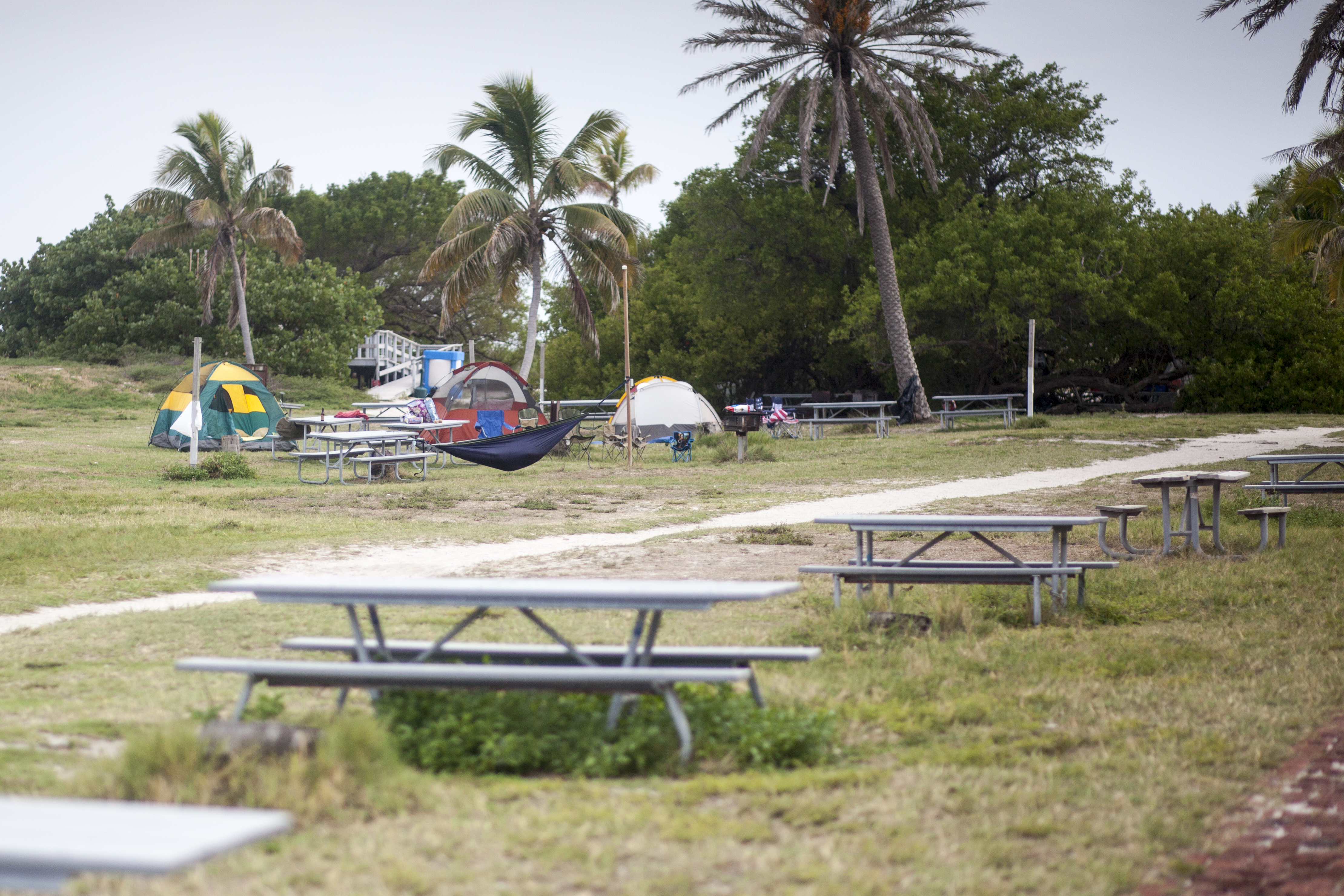 Tents are set up on the overflow area of Garden Key