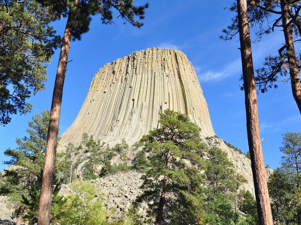 Devils Tower looming above the trees