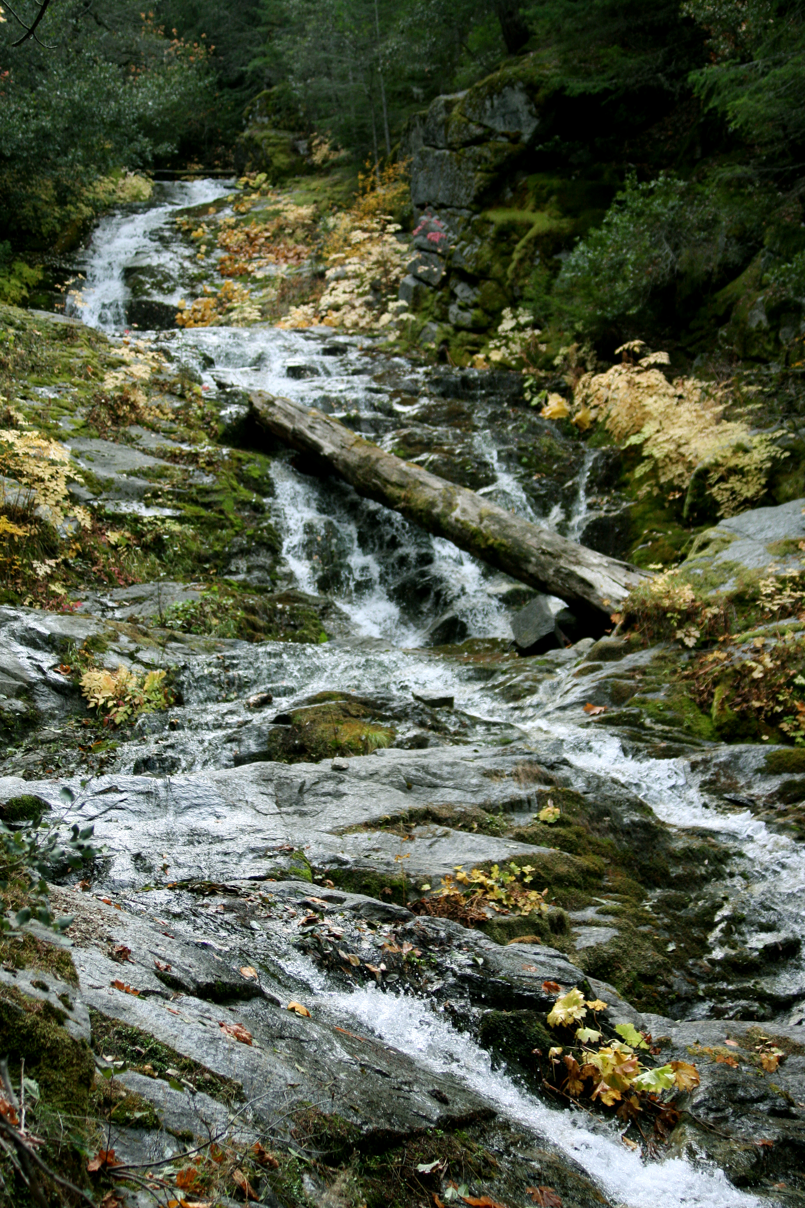 A Fall Day at Whiskeytown Falls