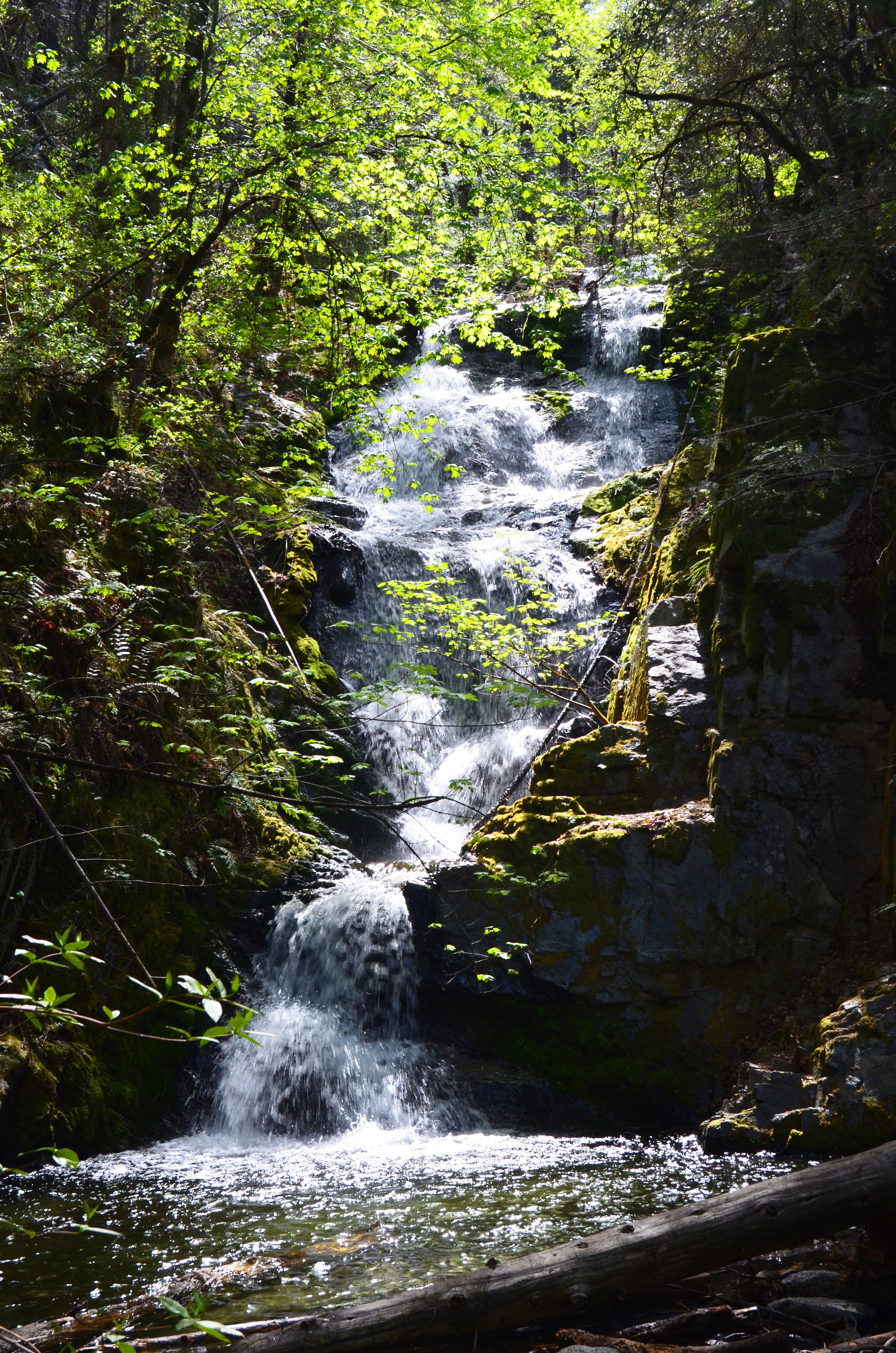A Beautiful Day at Boulder Creek Falls