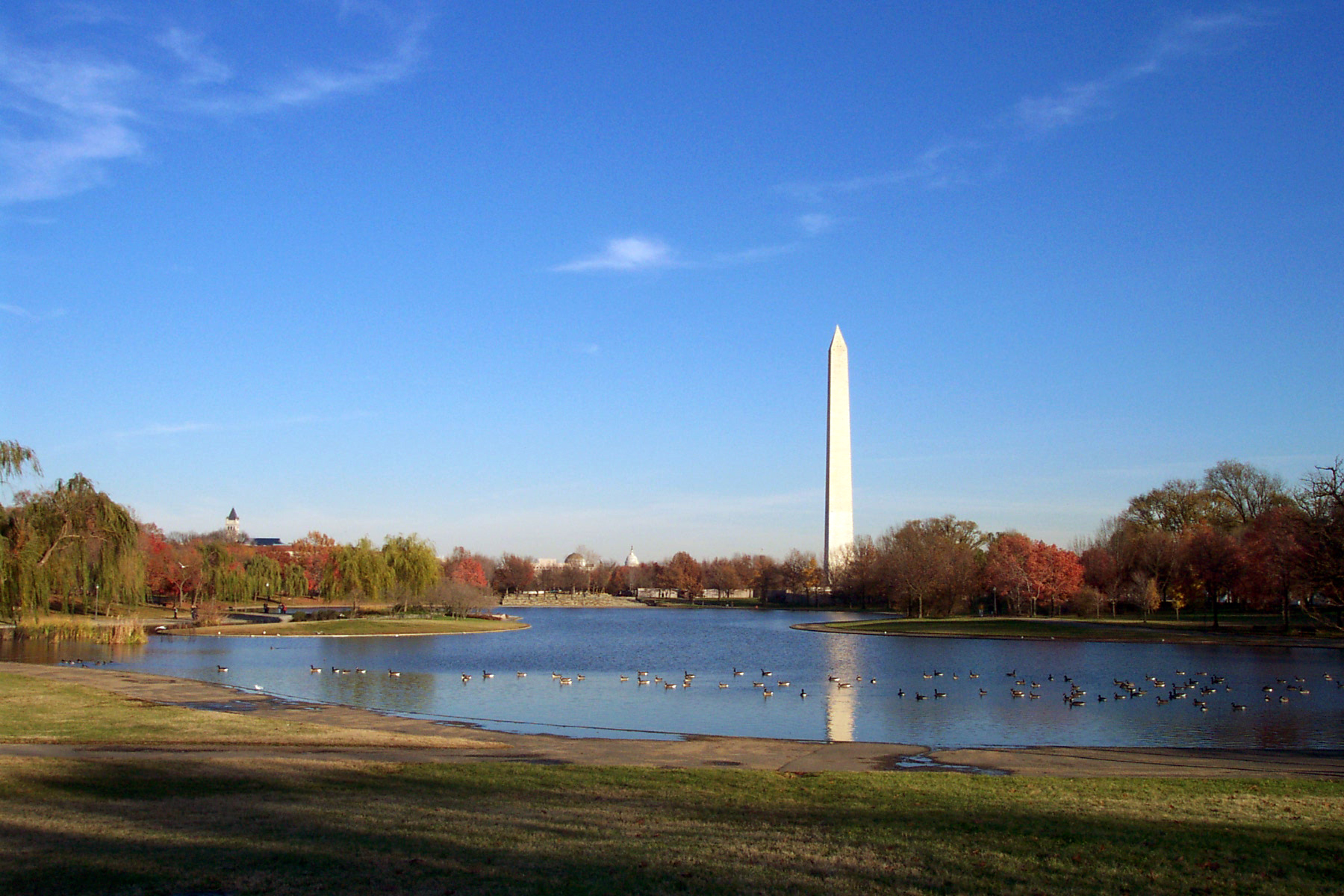 Shot of the Garden Pond with the Washington Monument in the background