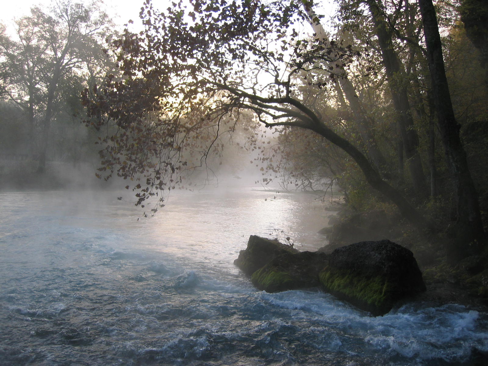 A sunrise photo with blue turbulent water and a algae colored rock with trees overhanging