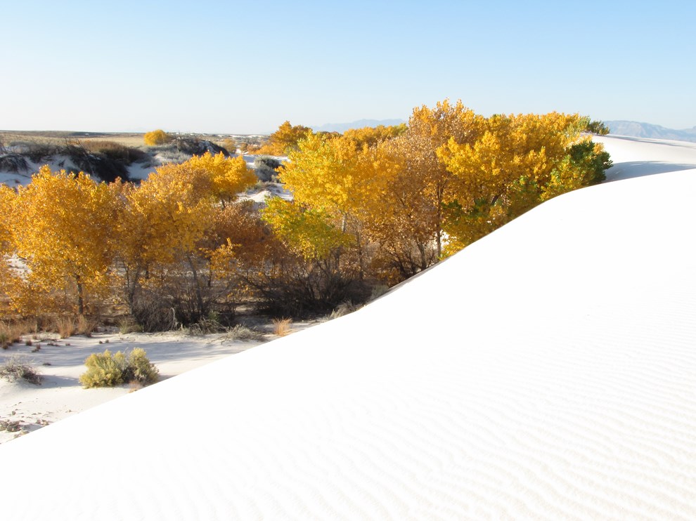 White Sands National Monument