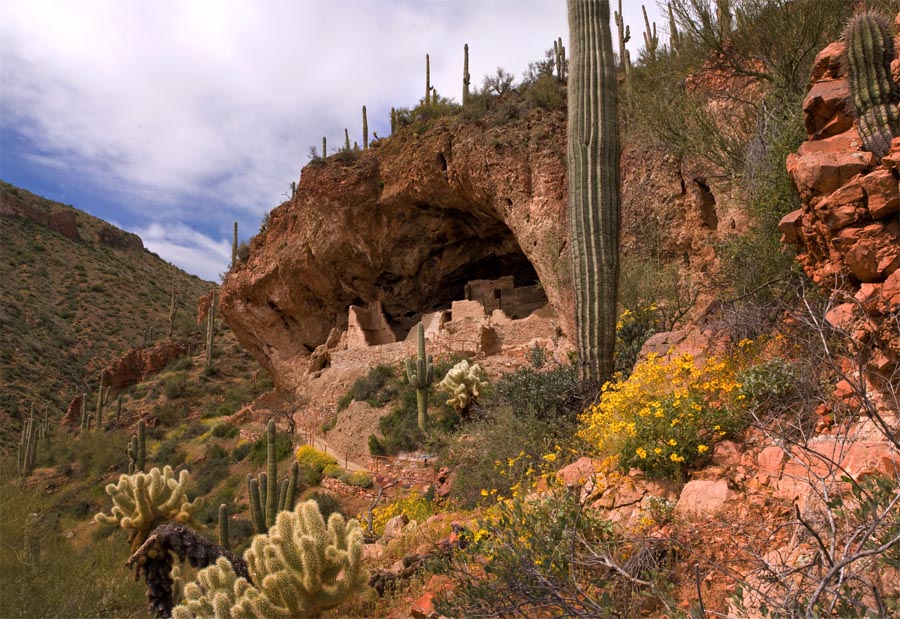 cliff dwelling in the spring with desert plants and wildflowers.