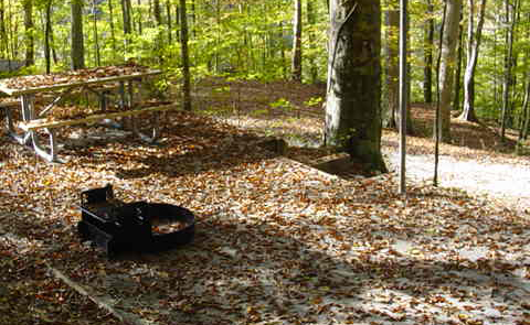Campsite with leaves and picnic table