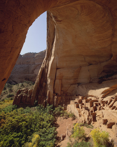 view from inside the Betatakin Cliff Dwelling looking out.
