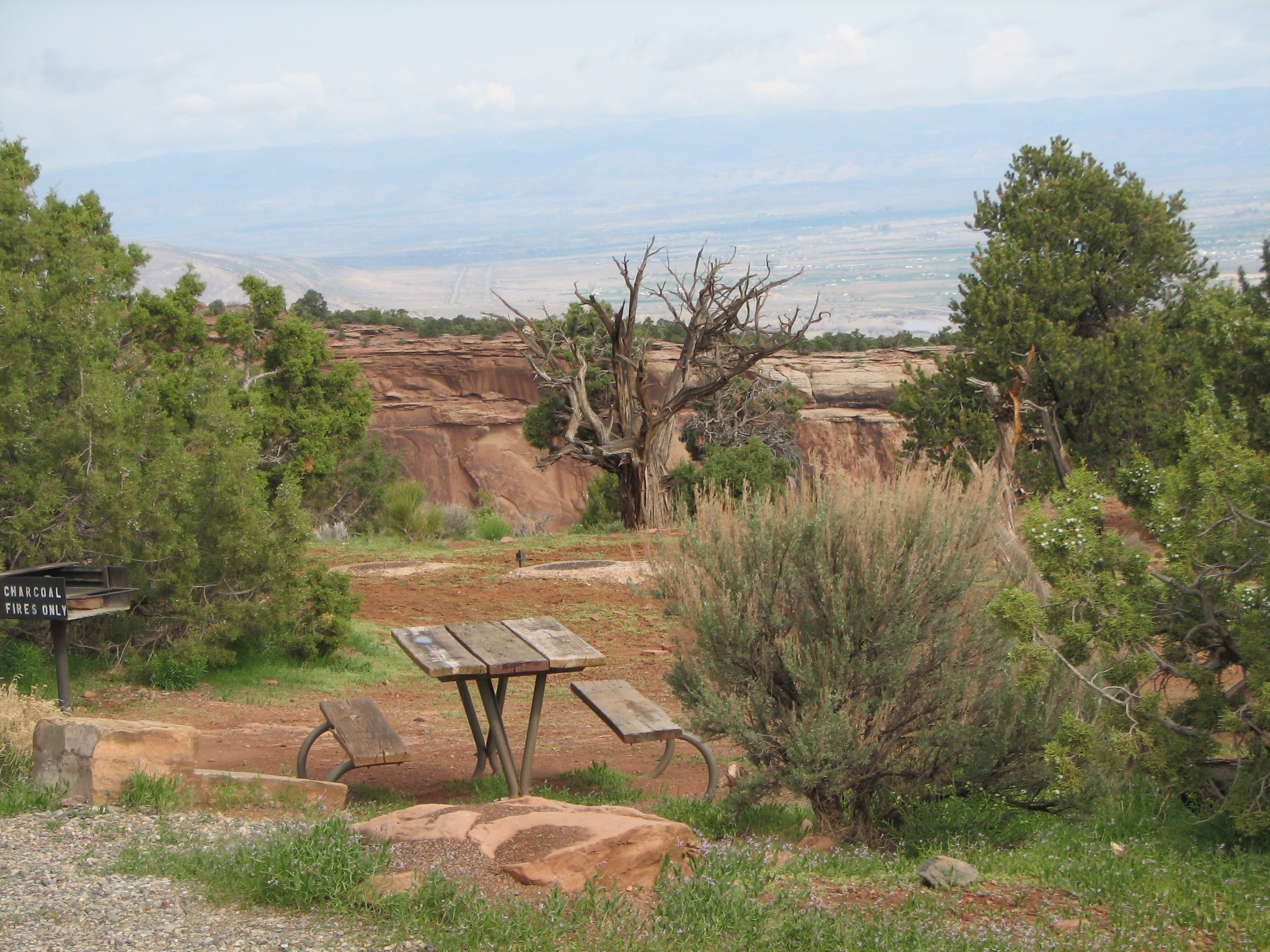 Picnic table nestled among the trees with a view of canyon beyond.