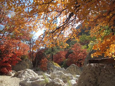 Fall colors in Devil\'s Hall